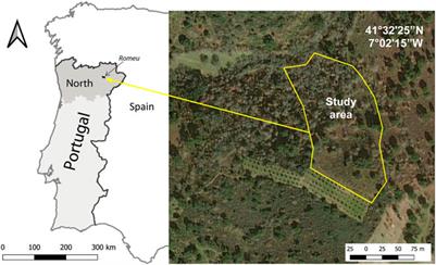 Impacts of Extensive Sheep Grazing on Soil Physical and Chemical Quality in Open Mountain Forests, NE Portugal